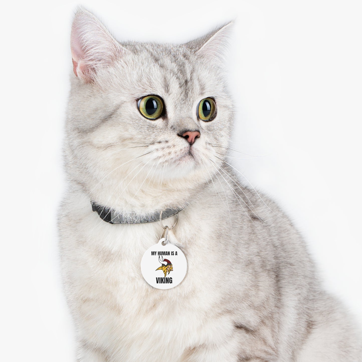 Viking Pet Tag
