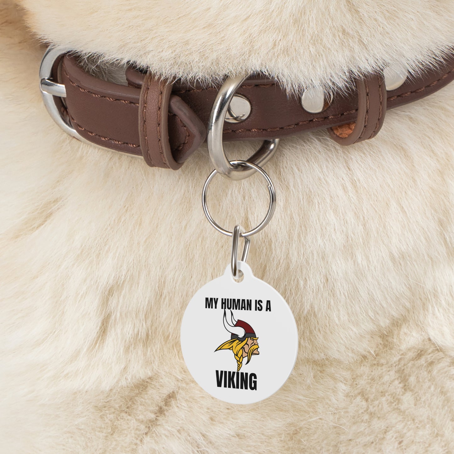 Viking Pet Tag